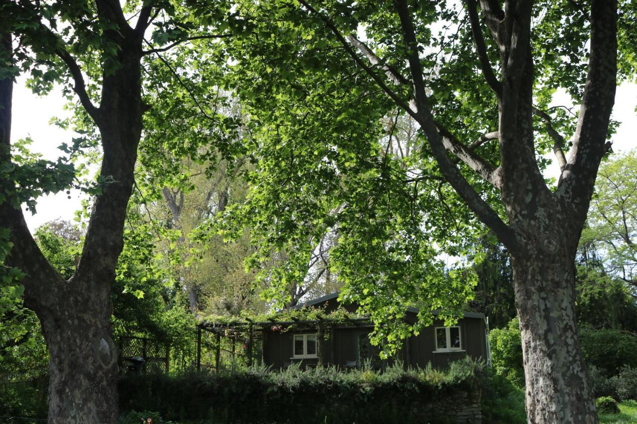 Appartement The Leafy Flat à Havelock North Extérieur photo